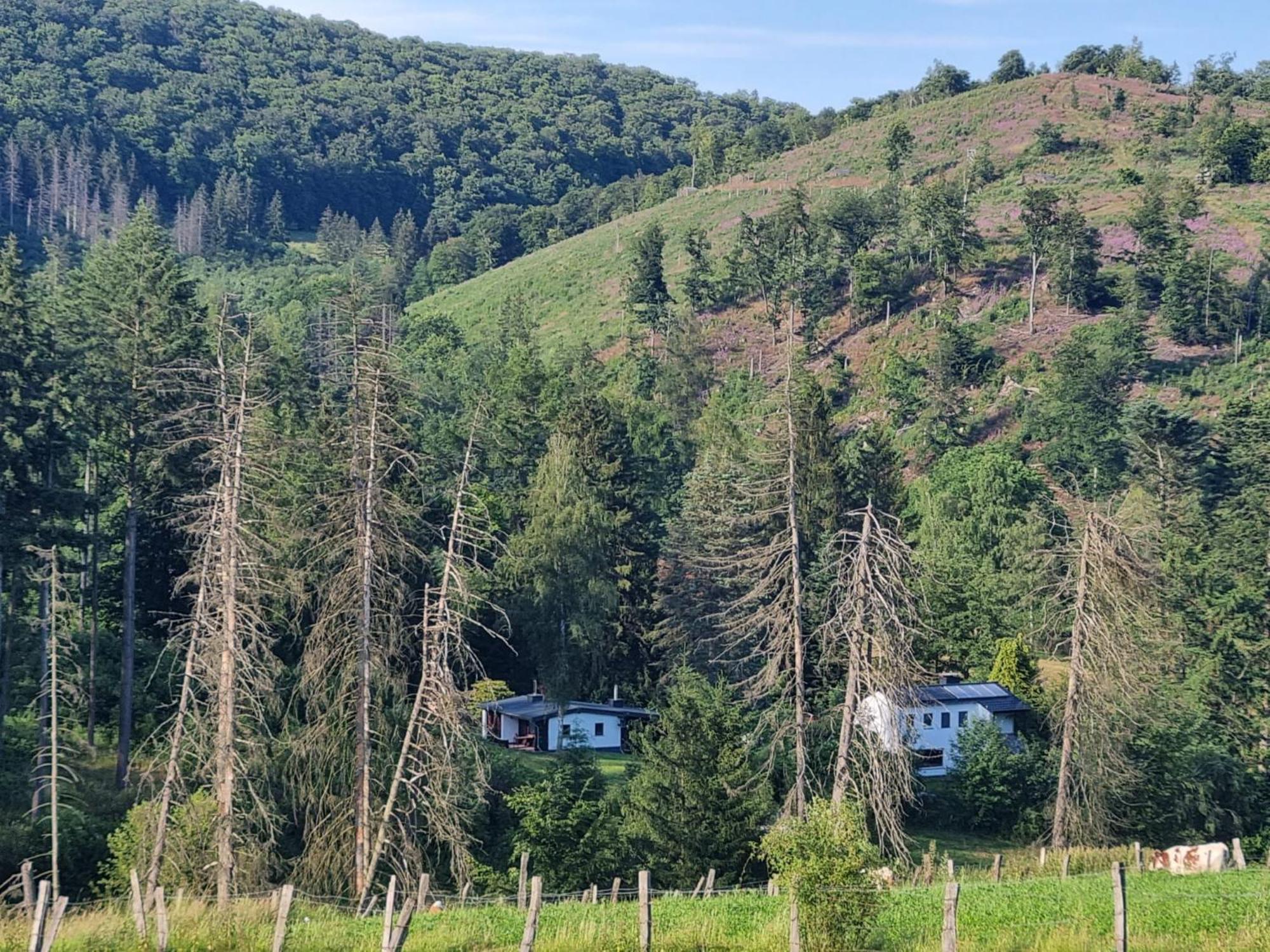 Explorer'S Lodge & Camping Helminghausen المظهر الخارجي الصورة
