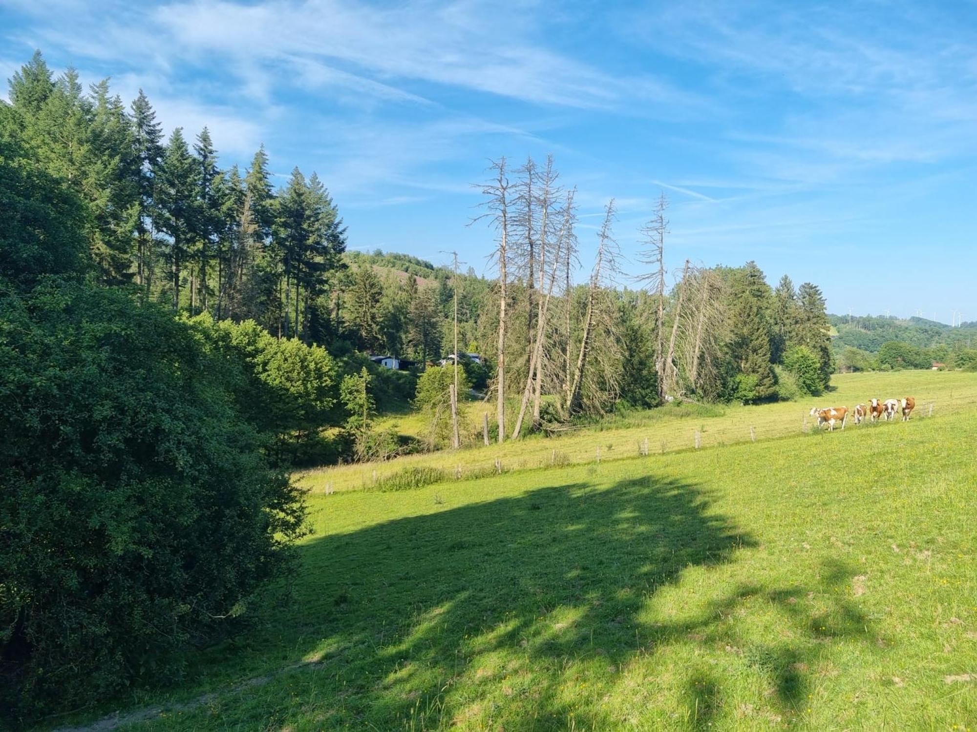 Explorer'S Lodge & Camping Helminghausen المظهر الخارجي الصورة