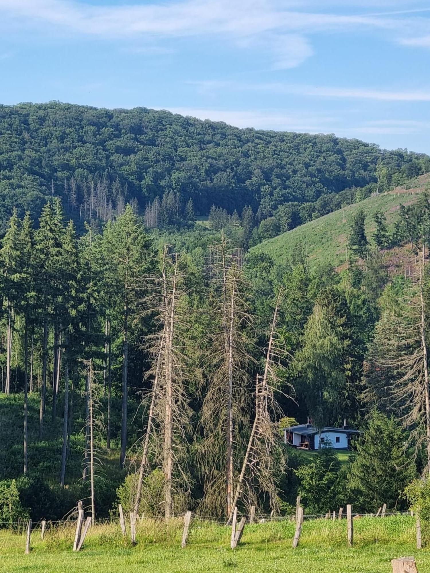 Explorer'S Lodge & Camping Helminghausen المظهر الخارجي الصورة